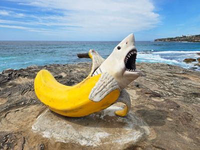 Sculpture by the Sea 2024