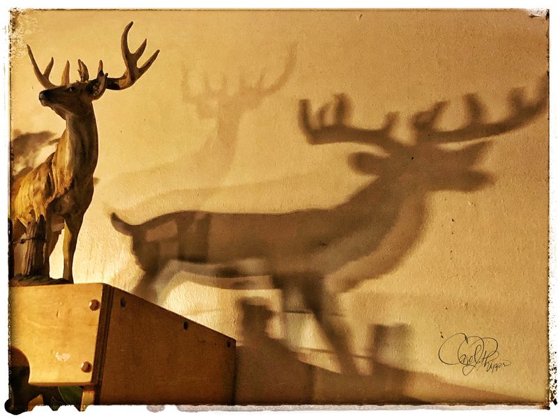 Reflections from Homel