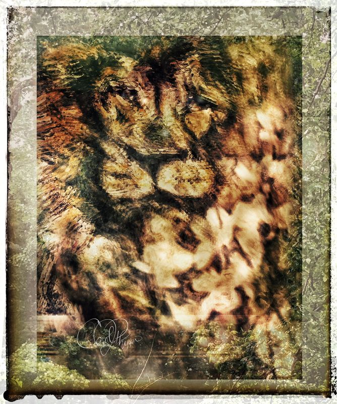 Latest PhotoArt 