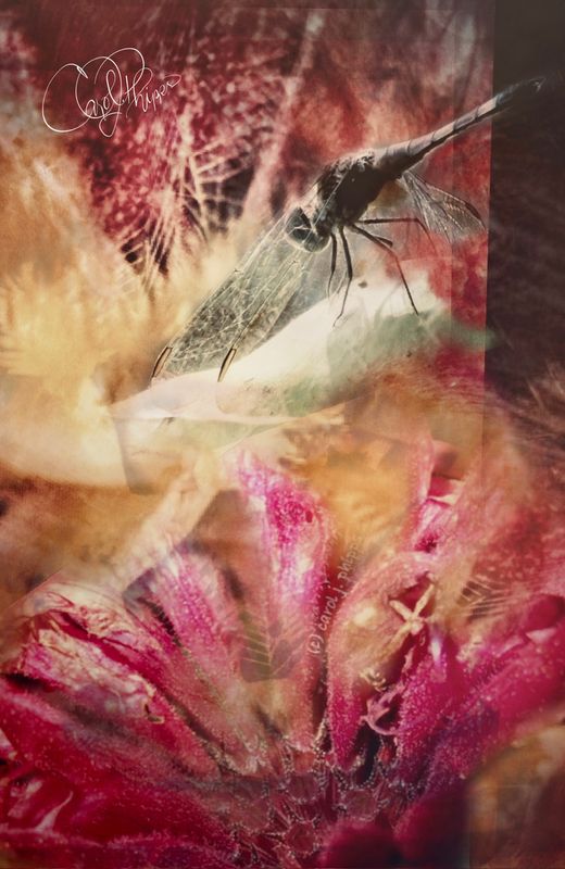 God is in the Details