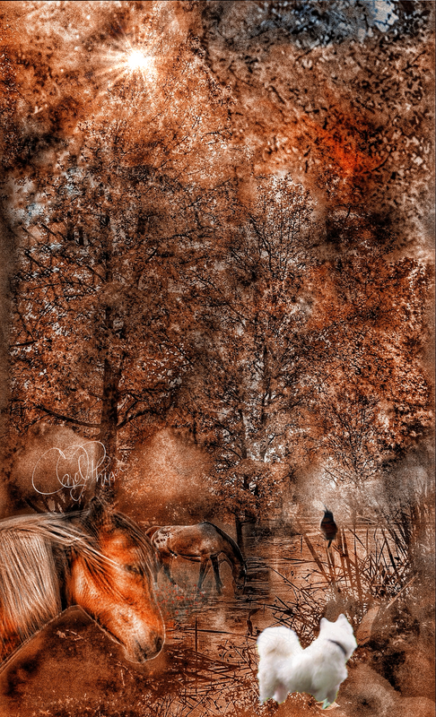 Steadfast Love, New Every Morning