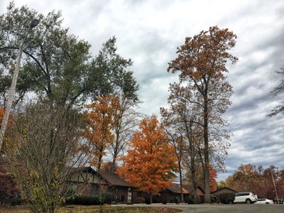 Dramatic Autumn