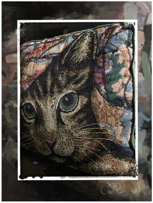 Cat Pillow