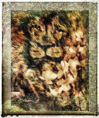 Latest PhotoArt 
