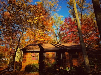 My yard is in Full Color