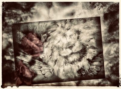 Visual Meditation