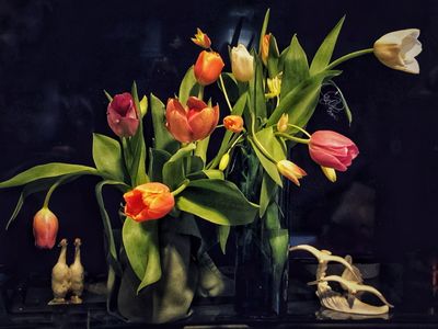 Luv Tulips
