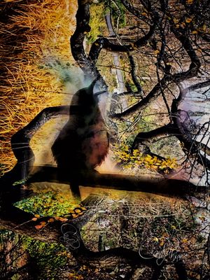Potpourri III - PhotoArt
