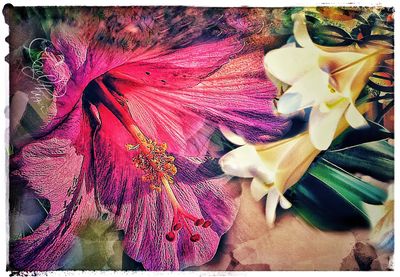 Potpourri III - PhotoArt