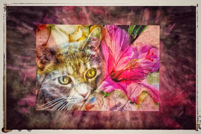 Potpourri III - PhotoArt