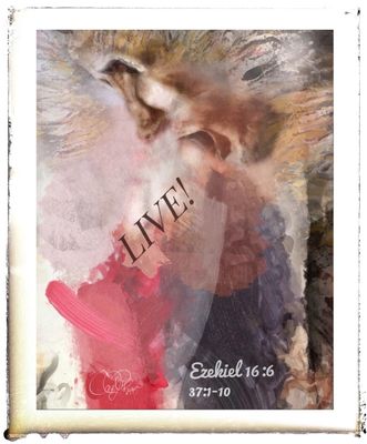 Potpourri III - PhotoArt