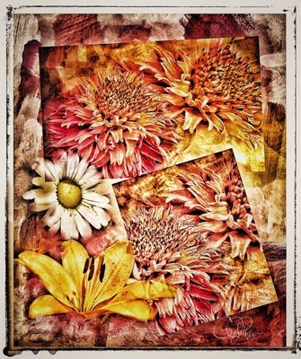 Potpourri III - PhotoArt