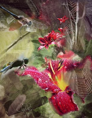 Potpourri III - PhotoArt