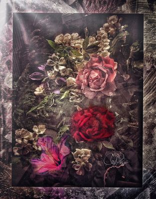 Potpourri III - PhotoArt