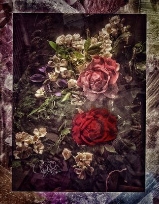 Potpourri III - PhotoArt