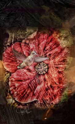 Potpourri III - PhotoArt