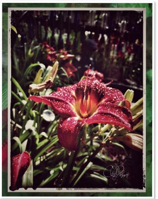 Summer Gallery 2025