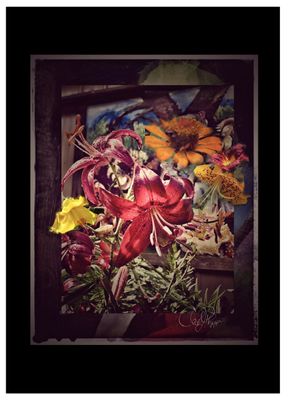 Summer Gallery 2025