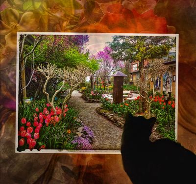 Summer Gallery 2025