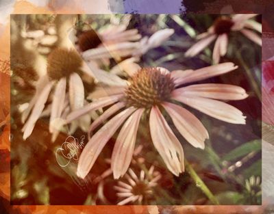 Summer Gallery 2025