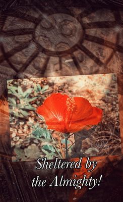 Summer Gallery 2025