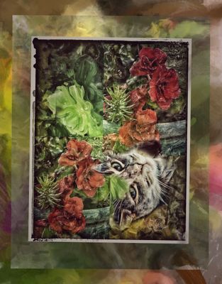 Summer Gallery 2025