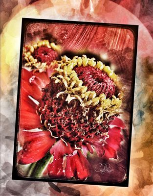 Summer Gallery 2025