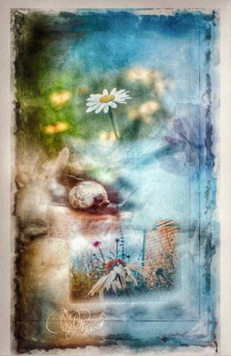 Summer Gallery 2025
