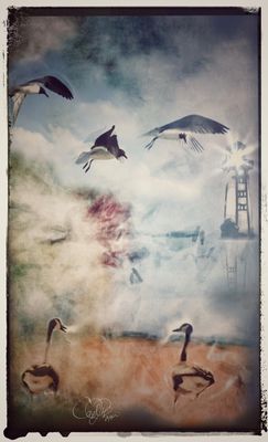 Summer Gallery 2025