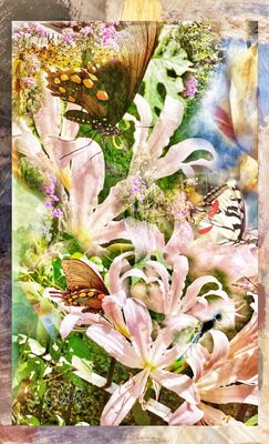 Summer Gallery 2025