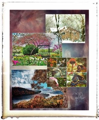Summer Gallery 2025