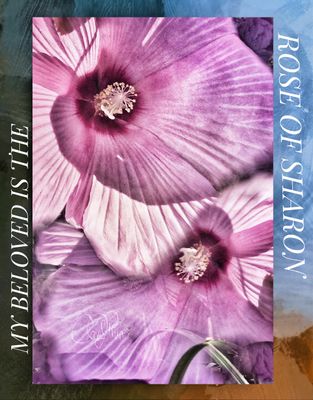 Summer Gallery 2025