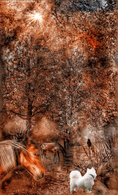 Visual Meditations 2