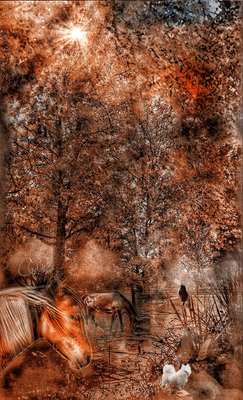 Visual Meditations 2