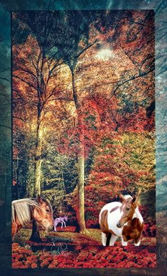 Visual Meditations 2