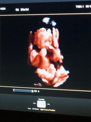 image1.jpeg