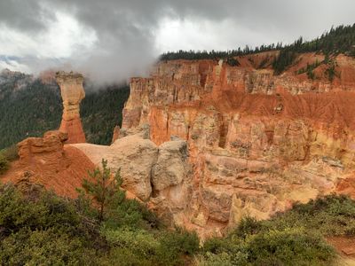 Bryce Canyon, Grand Canyon, Zion NP