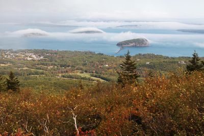 B2020_acadia_06.JPG
