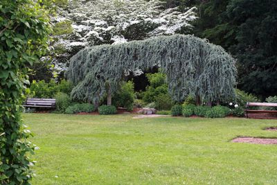 B2020_elizabeth_park_02.JPG