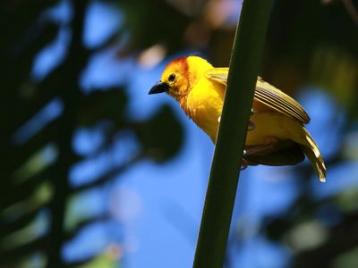 IMG_7485.JPG