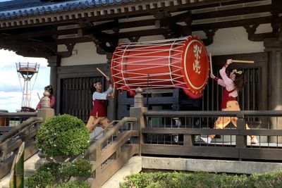 IMG_8201_cr.jpg