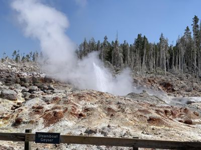 IMG_0455.JPG