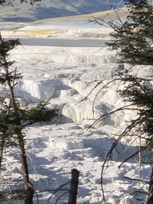 IMG_0832.JPG