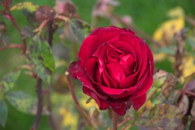 DSC_3399.jpg