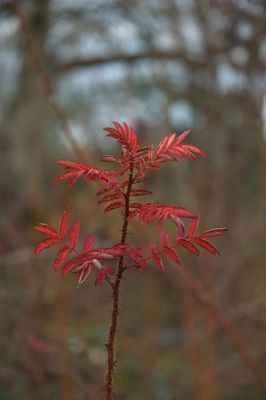 DSC_7828.jpg
