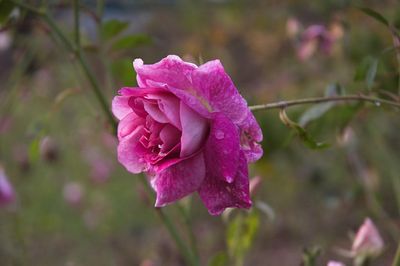DSC_7837.jpg