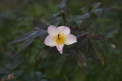 DSC_7884.jpg