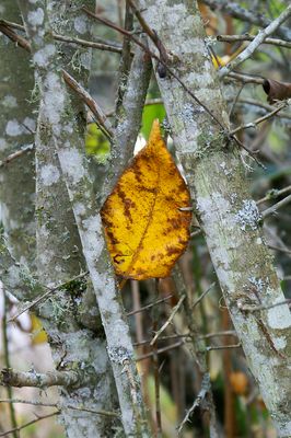 PICT0057.jpg