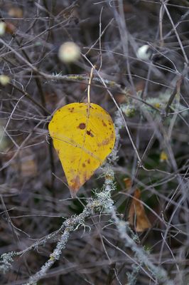 PICT0059.jpg