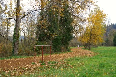 PICT0068.jpg